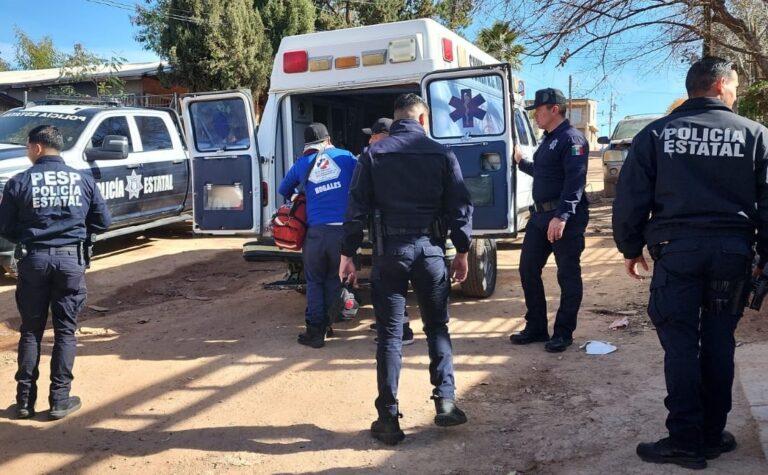 Acciones de combate al delito de la División Fronteriza de la Policía Estatal dejan resultados en Nogales
