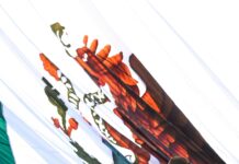 «México es dignidad, valentía y grandeza»: Presidenta Claudia Sheinbaum en ceremonia por el día de la bandera