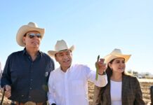 Durazo arranca cosecha de espárrago y consolida liderazgo agroexportador de Sonora