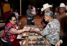 Gobierno de Sonora fortalece a familias de Álamos y comunidades