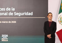 El éxito de la estrategia de seguridad y la oposición mediática