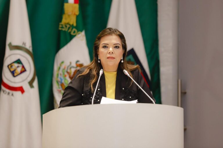 “Defender la soberanía energética es defender la independencia de México”: Dip. Ana Gabriela Tapia Fonllem.