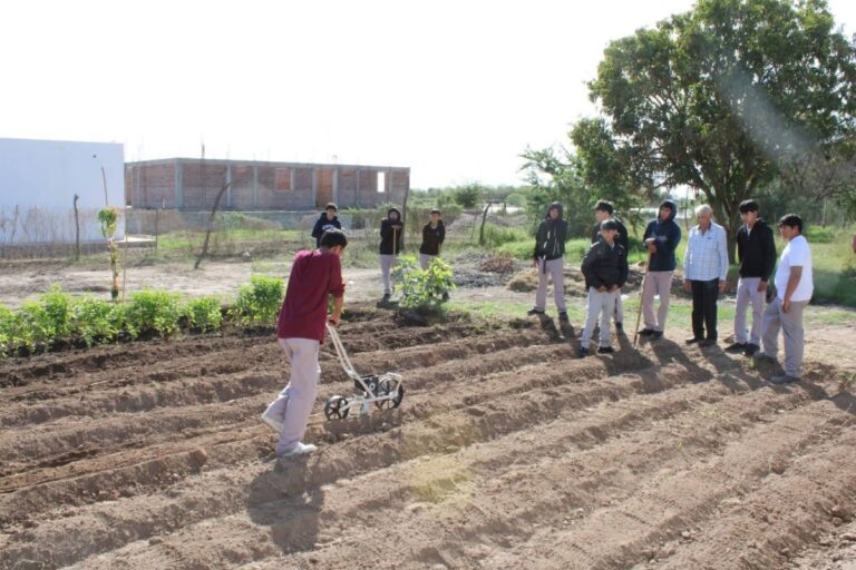 Gobierno de Sonora implementa modelo de Escuela Agroecológica: Cobach