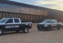 Coordinación estratégica fortalece seguridad en la frontera sonorense: PESP