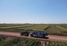 Gobierno de Sonora impulsa innovación y reconversión productiva en el Día del Agricultor 2026