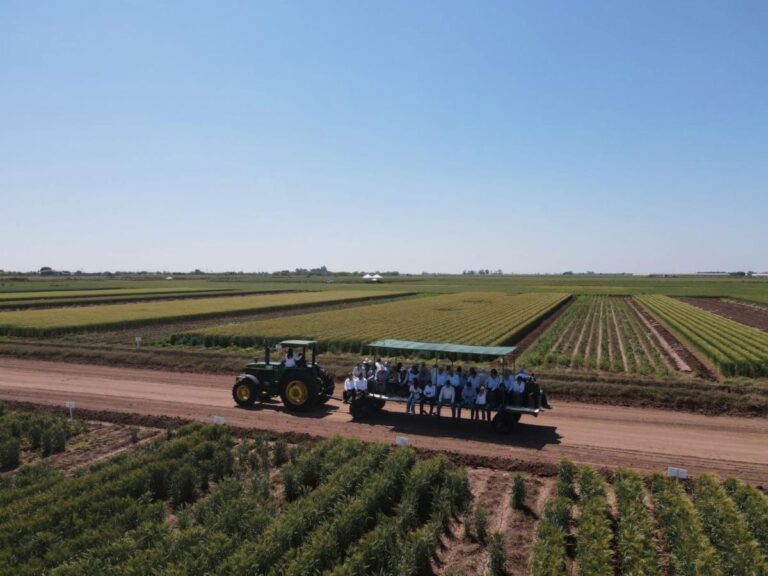 Gobierno de Sonora impulsa innovación y reconversión productiva en el Día del Agricultor 2026
