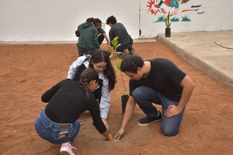 Cajeme se suma a jornada nacional «Tequios por la tierra mundial social» con participaciónde de cientos de jóvenes