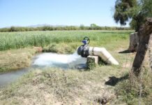 Gobierno de Sonora devuelve el agua y la esperanza a productores de Ures con obras hídricas históricas