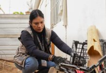 Promueve Salud Sonora estrategia “Casa Limpia” para prevenir enfermedades