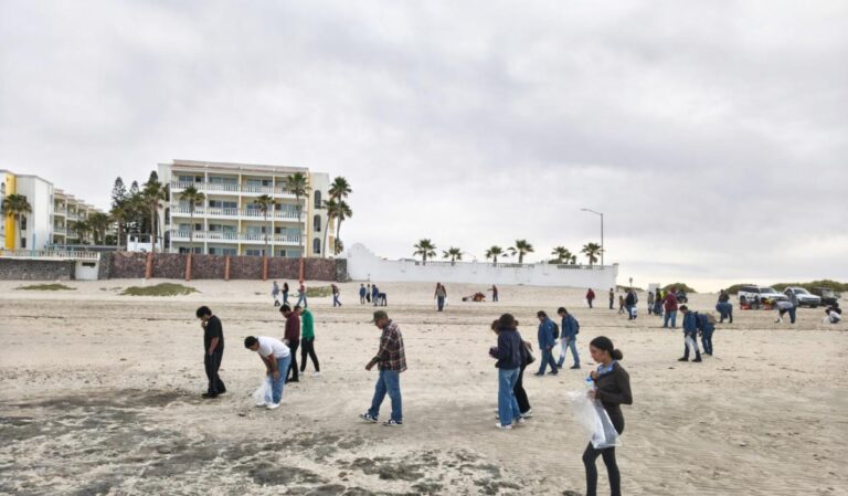 Participa Instituto Tecnológico Superior de Puerto Peñasco en acciones de conservación del entorno costero