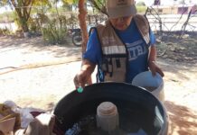 Refuerza Salud Sonora acciones preventivas y de control contra el dengue en todo el estado