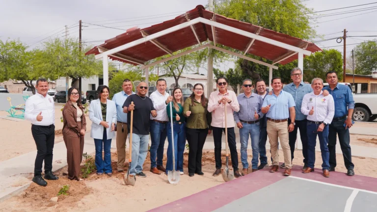 Continúa 30 Ayuntamiento con campaña de reforestación en la ciudad