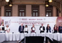 «Vamos a garantizar la soberanía alimentaria»: Presidenta Claudia Sheinbaum firma acuerdo para la creación del sistema de ordenamiento de la producción y comercialización del maíz blanco «Precio justo»