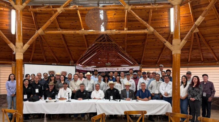 Refuerzan Gobierno de Sonora y Federación acciones contra gusano barrenador