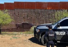Resultados firmes de la PESP aseguran miles de dosis y detenidos en la frontera