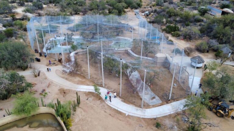 Gobernador Durazo impulsa obras clave de infraestructura y medio ambiente; avanza Parque Ostimuri y carretera a Kino
