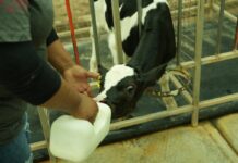 Gobierno de Sonora reconoce a productores lecheros en el Día Mundial de la Leche