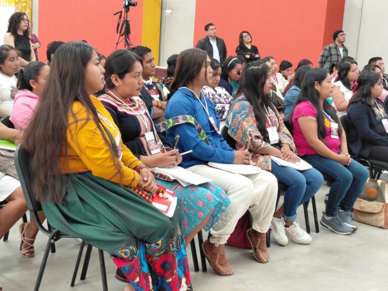 Secretaría de Cultura e INPI realizan taller para el fortalecimiento de los semilleros de la niñez indígena