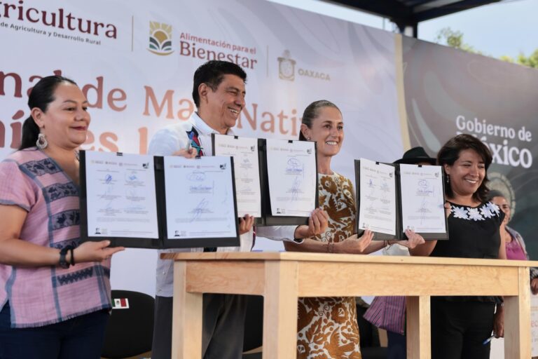 El maíz es la raíz de México; el objetivo es conservar la semilla y generar bienestar: Presidenta Cludia Sheinbaum entrega apoyos del programa a sembradores de Oaxaca