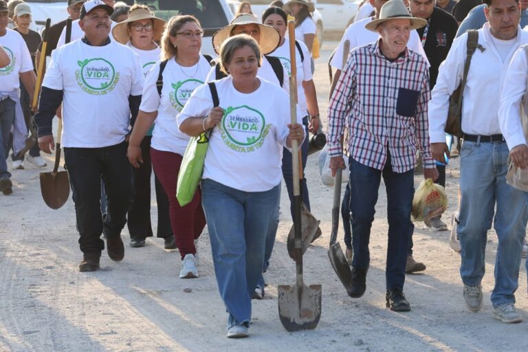 Con más de 13 mil árboles, Gobernador Durazo suma a Sonora a Jornada Nacional de Reforestación de Presidenta Sheinbaum