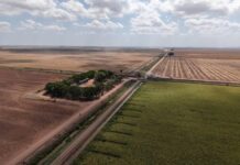 Sonora lidera el crecimiento del campo en el norte del país: Durazo